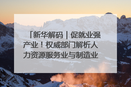 新华解码｜促就业强产业！权威部门解析人力资源服务业与制造业融合发展试点