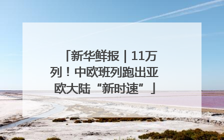 新华鲜报｜11万列！中欧班列跑出亚欧大陆“新时速”