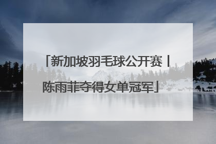 新加坡羽毛球公开赛丨陈雨菲夺得女单冠军