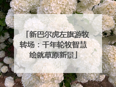 新巴尔虎左旗游牧转场：千年轮牧智慧绘就草原新景