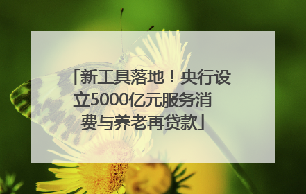 新工具落地！央行设立5000亿元服务消费与养老再贷款