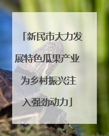 新民市大力发展特色瓜果产业 为乡村振兴注入强劲动力
