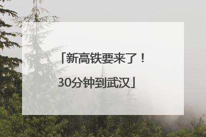 新高铁要来了！30分钟到武汉