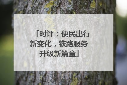 时评：便民出行新变化，铁路服务升级新篇章