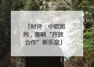 时评：中欧班列，奏响“开放合作”新乐章