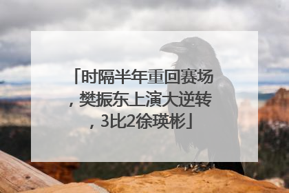 时隔半年重回赛场，樊振东上演大逆转，3比2徐瑛彬