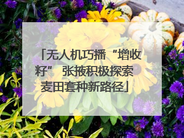 无人机巧播“增收籽” 张掖积极探索麦田套种新路径