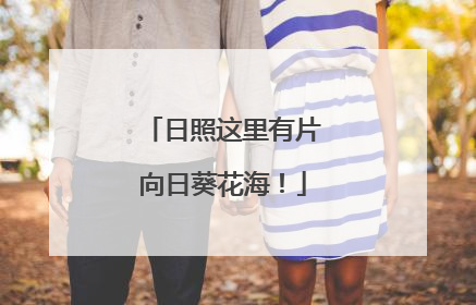 日照这里有片向日葵花海！