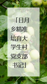 日月乡精准培育大学生村党支部书记