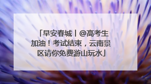早安春城丨@高考生 加油！考试结束，云南景区请你免费游山玩水
