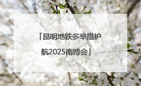 昆明地铁多举措护航2025南博会