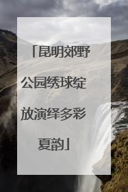 昆明郊野公园绣球绽放演绎多彩夏韵