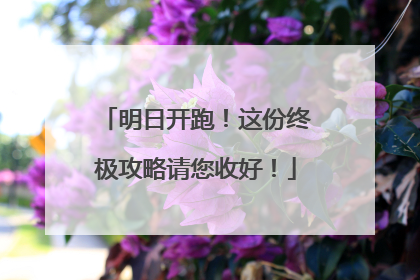 明日开跑！这份终极攻略请您收好！