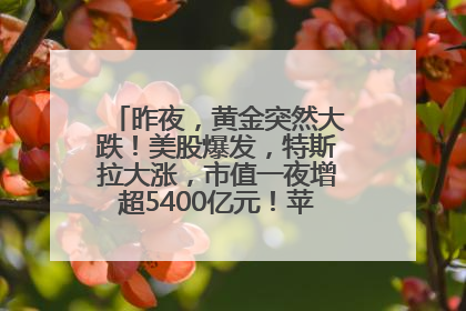 昨夜，黄金突然大跌！美股爆发，特斯拉大涨，市值一夜增超5400亿元！苹果传来大消息