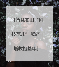 智慧农田“科技范儿” 稳产增收根基牢