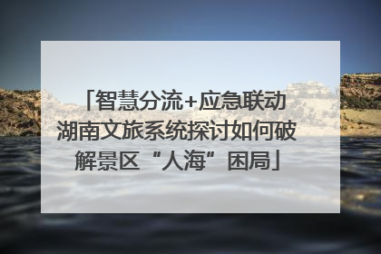 智慧分流+应急联动 湖南文旅系统探讨如何破解景区“人海”困局