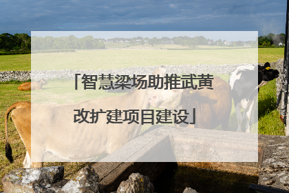 智慧梁场助推武黄改扩建项目建设