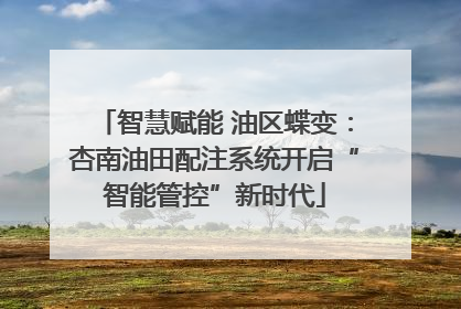 智慧赋能 油区蝶变：杏南油田配注系统开启“智能管控”新时代