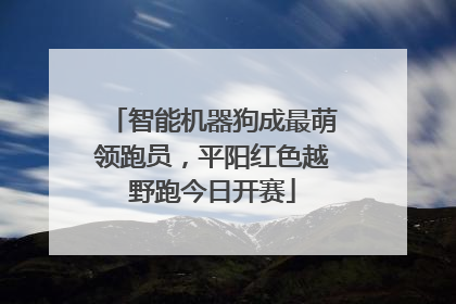 智能机器狗成最萌领跑员，平阳红色越野跑今日开赛