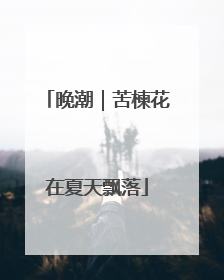 晚潮｜苦楝花在夏天飘落