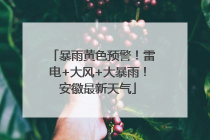 暴雨黄色预警！雷电+大风+大暴雨！安徽最新天气
