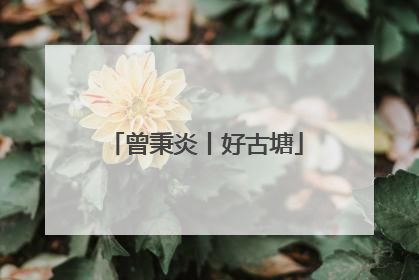 曾秉炎丨好古塘