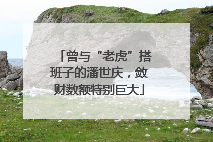 曾与“老虎”搭班子的潘世庆，敛财数额特别巨大