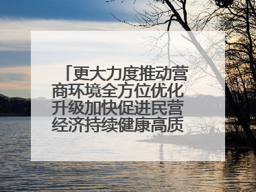 更大力度推动营商环境全方位优化升级加快促进民营经济持续健康高质量发展
