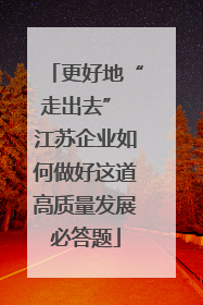 更好地“走出去” 江苏企业如何做好这道高质量发展必答题
