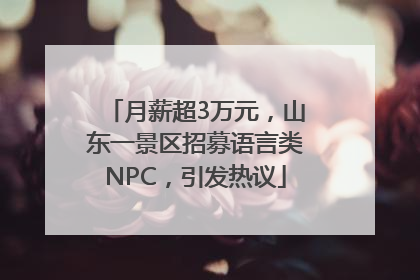 月薪超3万元，山东一景区招募语言类NPC，引发热议