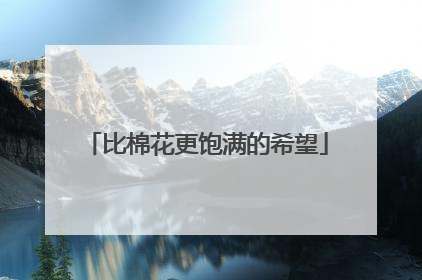比棉花更饱满的希望