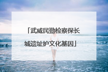 武威民勤检察保长城遗址护文化基因