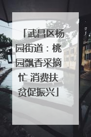 武昌区杨园街道：桃园飘香采摘忙 消费扶贫促振兴