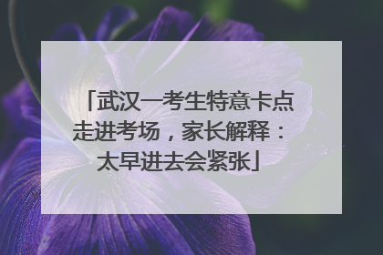 武汉一考生特意卡点走进考场，家长解释：太早进去会紧张