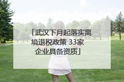 武汉下月起落实离境退税政策 33家企业具备资质
