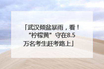 武汉倾盆暴雨，看！“柠檬黄”守在8.5万名考生赶考路上