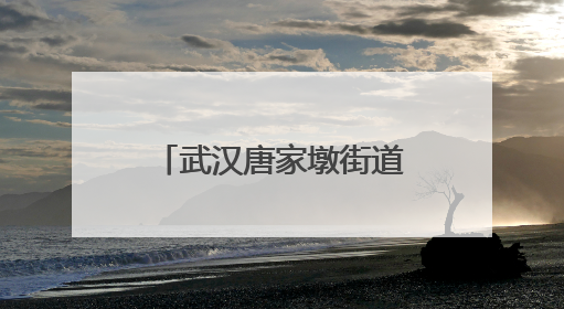 武汉唐家墩街道开展“三大精神”沉浸式宣讲活动