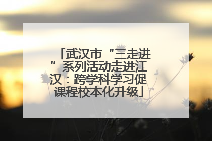 武汉市“三走进”系列活动走进江汉：跨学科学习促课程校本化升级