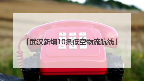 武汉新增10条低空物流航线