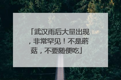 武汉雨后大量出现，非常罕见！不是蘑菇，不要随便吃