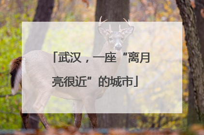 武汉，一座“离月亮很近”的城市