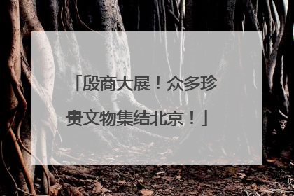 殷商大展！众多珍贵文物集结北京！