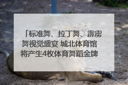 标准舞、拉丁舞、霹雳舞视觉盛宴 城北体育馆将产生4枚体育舞蹈金牌｜世运会探馆行