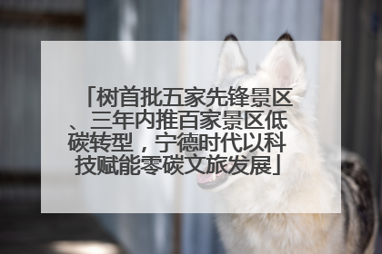树首批五家先锋景区、三年内推百家景区低碳转型，宁德时代以科技赋能零碳文旅发展