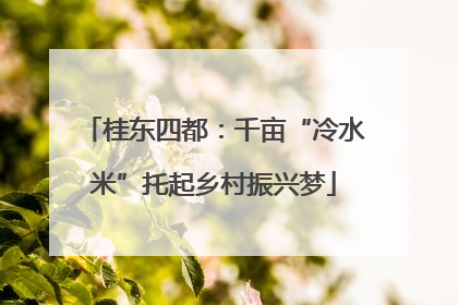 桂东四都：千亩“冷水米”托起乡村振兴梦