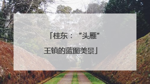 桂东：“头雁”王镇的蓝图美景