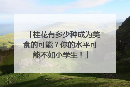 桂花有多少种成为美食的可能？你的水平可能不如小学生！