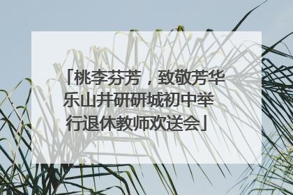 桃李芬芳，致敬芳华 乐山井研研城初中举行退休教师欢送会