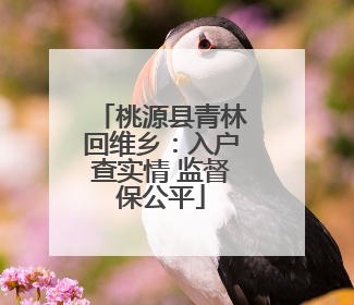 桃源县青林回维乡：入户查实情 监督保公平