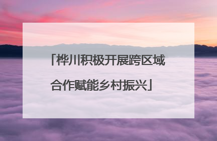 桦川积极开展跨区域合作赋能乡村振兴